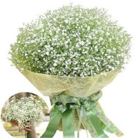 Gypsophila Romantic Baby's Breath Silk Flowers Bridal Party Wedding Home Décor 755082720642  382195305891